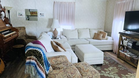 Lower level living area