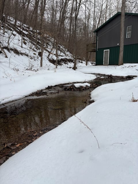 Creek Outside of House