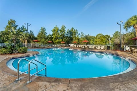 Dive into sparkling blue waters under warm Florida skies.