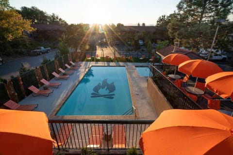 Large swimming pool, don’t be afraid to jump in!