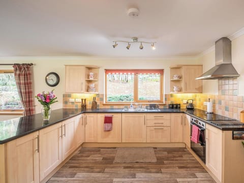 Kitchen, Furniture, Interior Design, Countertop, Flooring, Kitchen Appliance, Cabinetry, Wood, Floor, Major Appliance