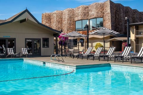 Dive into sunlit pool days with comfy striped loungers.