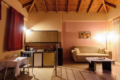 Living Area with Kitchen, Dining Space, and Natural Light