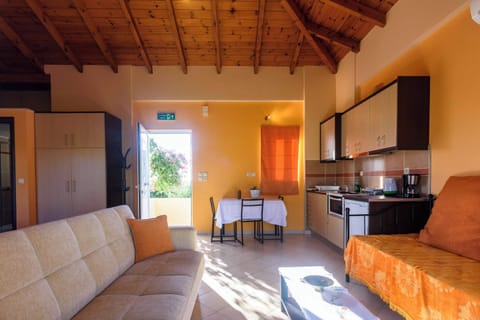 Comfortable Living Room with Open Kitchen Layout