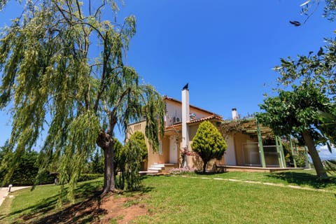 Garden View with Lawn, Trees, and Stone Pathway