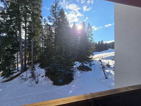 Winter, Snow, Freezing, Larch, Glacial Landform, Evergreen