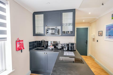 The apartment features a single-level layout with an open-plan living area and kitchen.