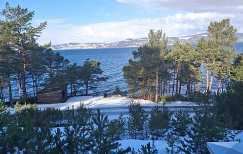 view-from-room