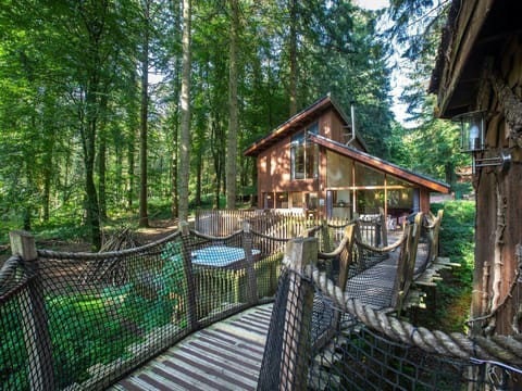 Forest of Dean Woodland - Golden Oak Treehouse