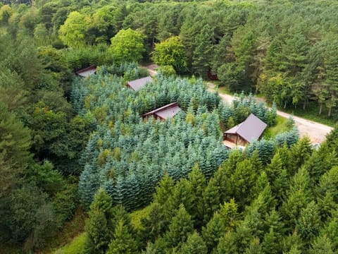 Delamere Forest Golden Oak Secluded View