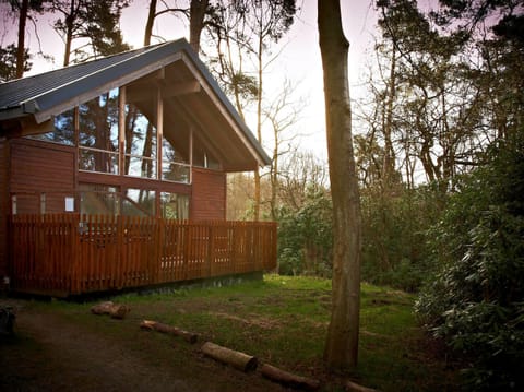 Strathyre Classic Silver Birch