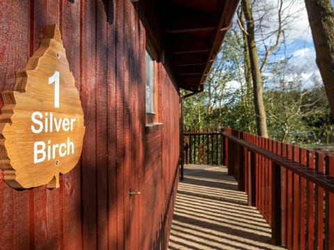 Strathyre New Style Silver Birch wheelchair accessible cabin
