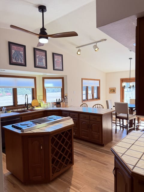 Scenic kitchen space where natural light and forest views take center stage.