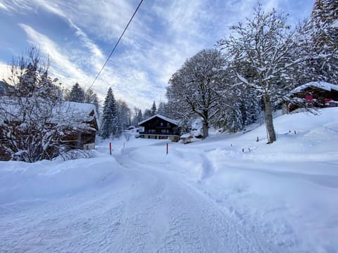 Cloud, Sky, Snow, Window, Building, Slope, Plant, Tree, Terrain, House