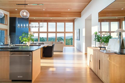 Sweeping Blue Ridge Mountain views for the kitchen, living, dining