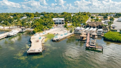 Aerial View of the property