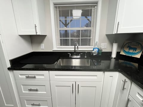 Large kitchen sink