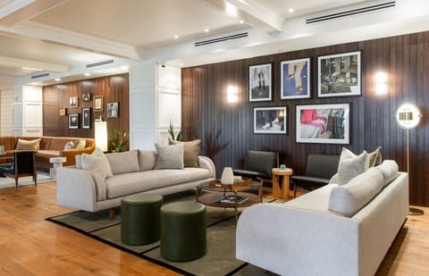 Stretch out on plush sofas beneath curated art and warm lighting.