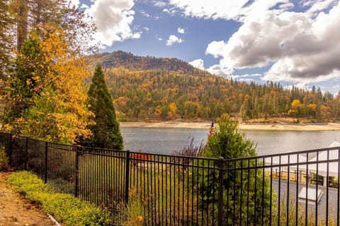 Lake view