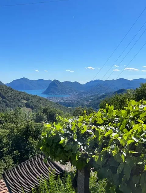 Lake view