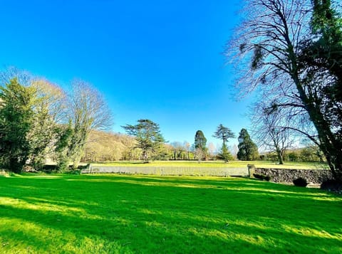 Lawn and paddock