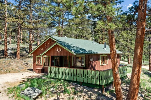 Rustic cabin exterior with green-trimmed railings, mounted antlers, and tall pine trees surrounding the property.