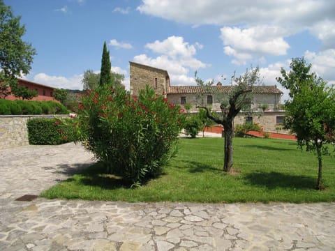 Grass, Shrub, Landscape, Land Lot, Garden, Lawn, Landscaping, Yard, Plantation