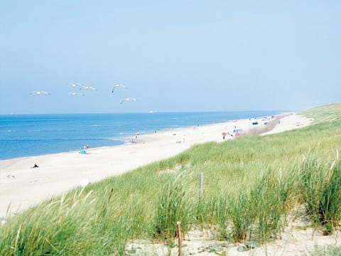 Breathe in salty air with wide, sandy beach strolls.