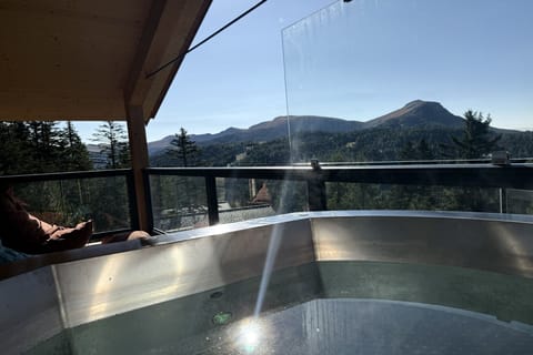 Holiday Home Swimming Pool