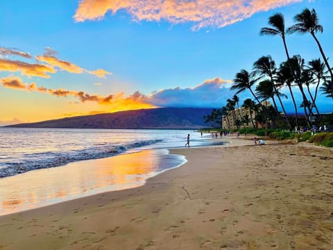 The condo is just steps to this amazing beach (Kamaole Beach 2)