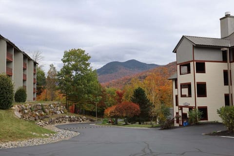 Mountain views