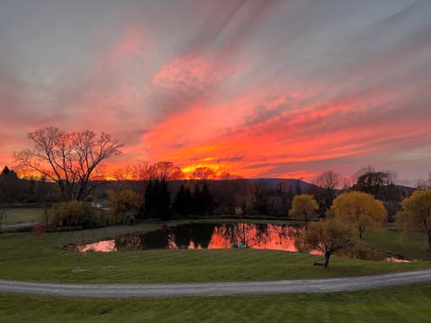 Spring sunset 