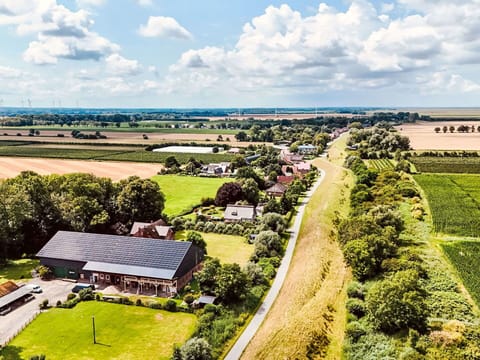Landscape, Bird'S-Eye View, Rural Area, Plain, Land Lot, Field, Aerial Photography, Plantation, Village, Farm