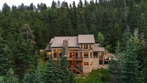 Stunning aerial view of the property nestled among the trees.