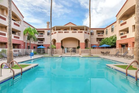 Dive into a sunlit resort pool surrounded by palms.