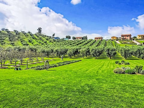 Land Lot, Plain, Rural Area, Garden, Groundcover, Field, Plantation, Agriculture, Meadow