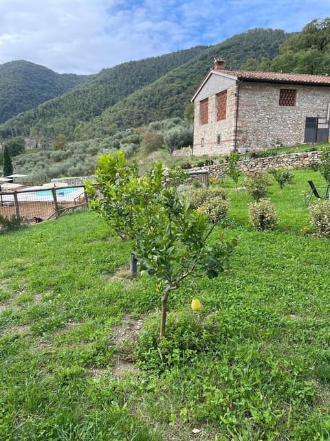 Autumn, Garden, Spring, Summer