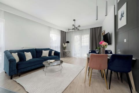 A sophisticated living room features a deep navy blue velvet sofa paired with a white textured rug and a modern glass coffee table. The open-plan space flows into a dining area, all tied together by light wood flooring and bright walls.
