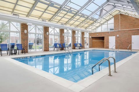Dive into a bright indoor pool under a soaring skylight.