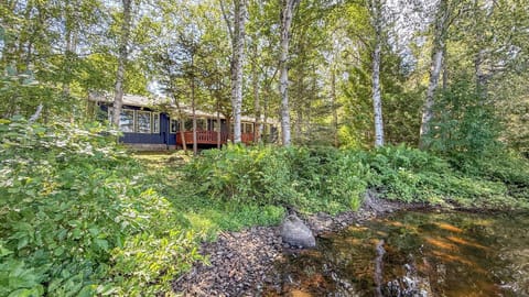 A serene forest retreat nestled among birch trees beside a gentle stream—the property offers a peaceful escape immersed in natural beauty and tranquility.