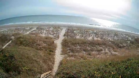 Aerial view captures the scenic coastal path leading to pristine sandy beaches with rolling waves and natural dune vegetation.