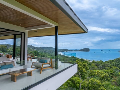 Rising elegantly above the rainforest canopy
