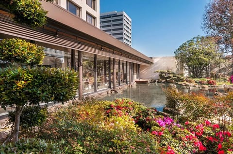 Sip coffee beside serene water gardens and sunlit blooms.