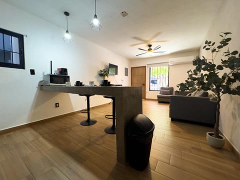 Modern living room with cozy seating and natural light