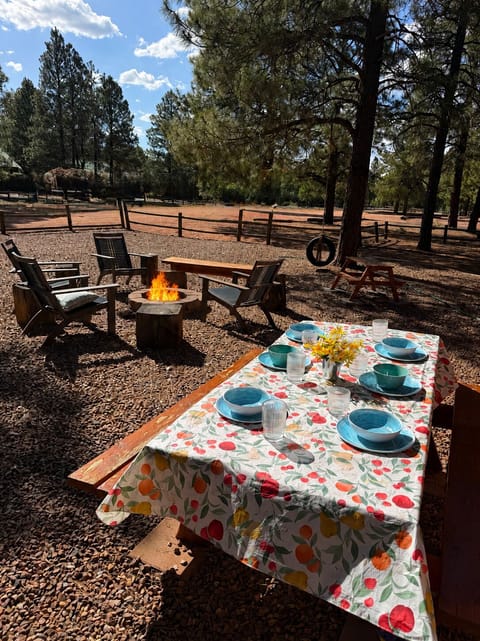 Sunny forest picnic w fire pit