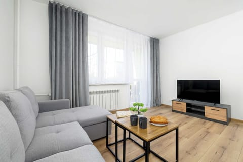 A light-filled living room features a grey sectional sofa and two nesting coffee tables on a light wood floor. A flat-screen TV sits on a sleek media console against the far wall near a large window.