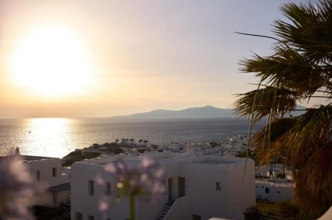 Soak up golden sunsets over the sea and hillside town.