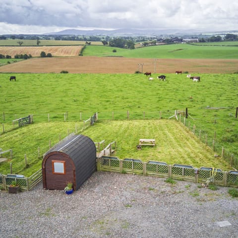 Aerial view from behind