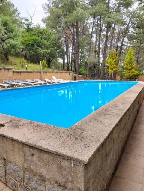 Piscina grande al aire libre rodeada de pinos
