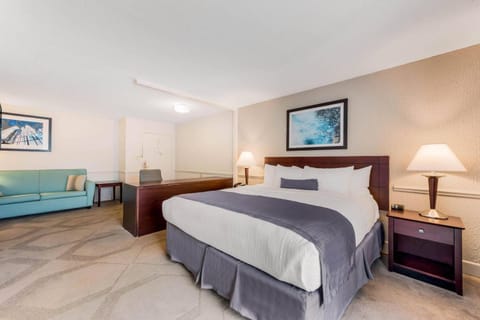 Stretch out in a roomy king suite with cozy seating.
